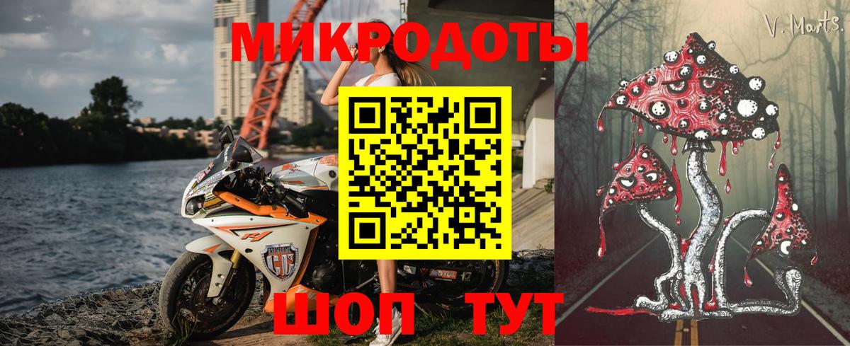 Псилоцибиновые грибы Psilocybine cubensis Касимов