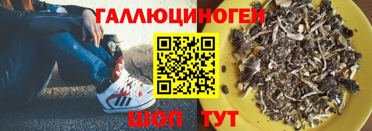 Псилоцибиновые грибы Cubensis  Галлюциногенные грибы прущие грибы  Вход с VPN  Касимов 